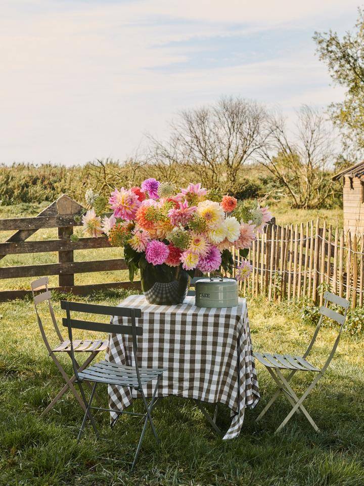 Boeket dahlia's in vaas op tafel met geruit tafelkleed, buiten in landelijke omgeving