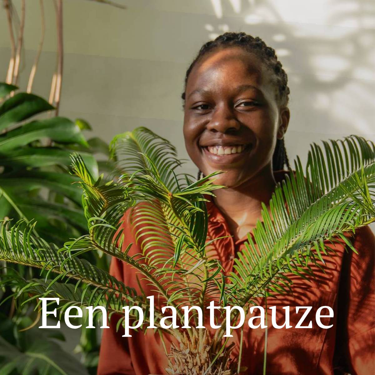 Een plantpauze