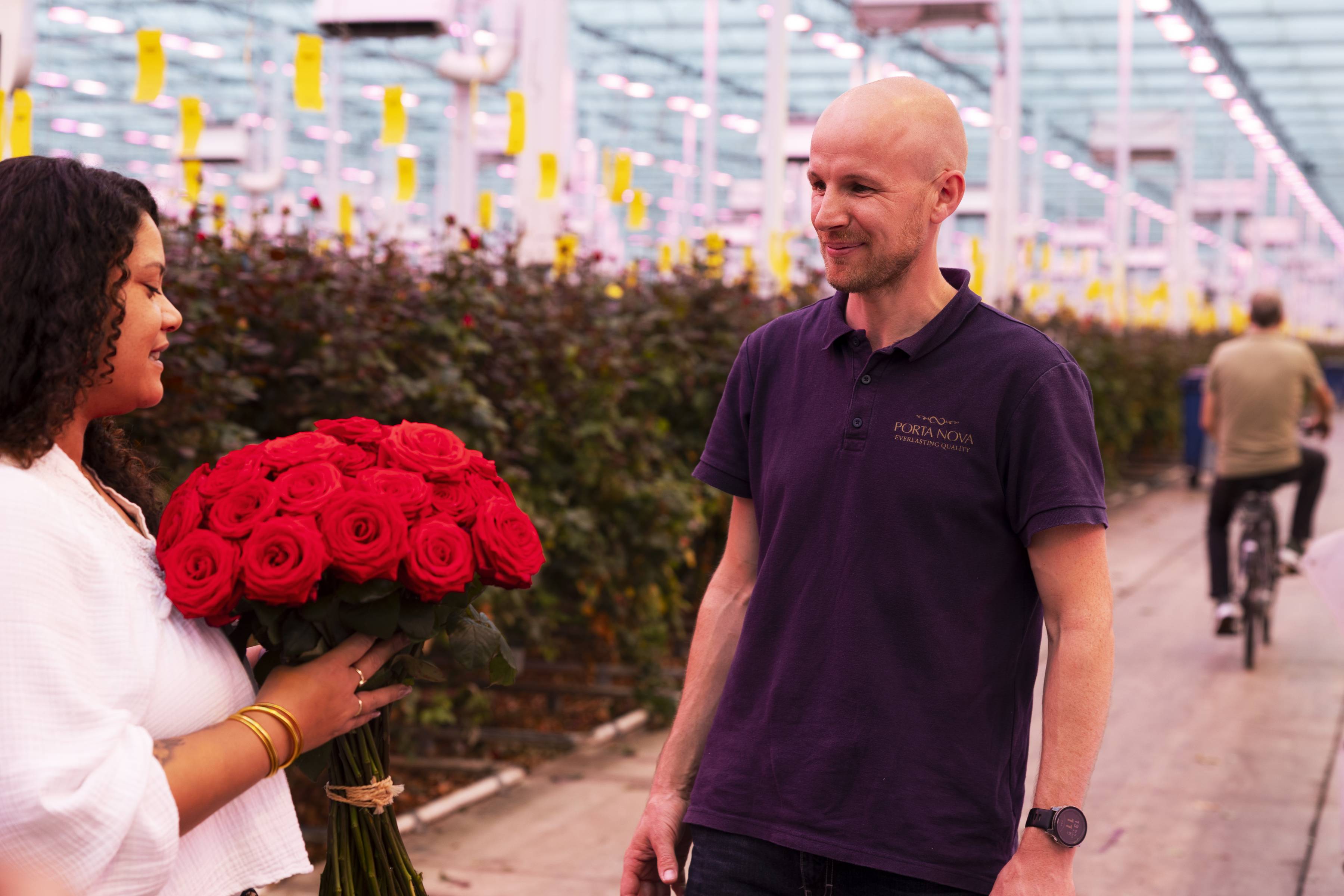 hier groeit iets moois rozen porta nova