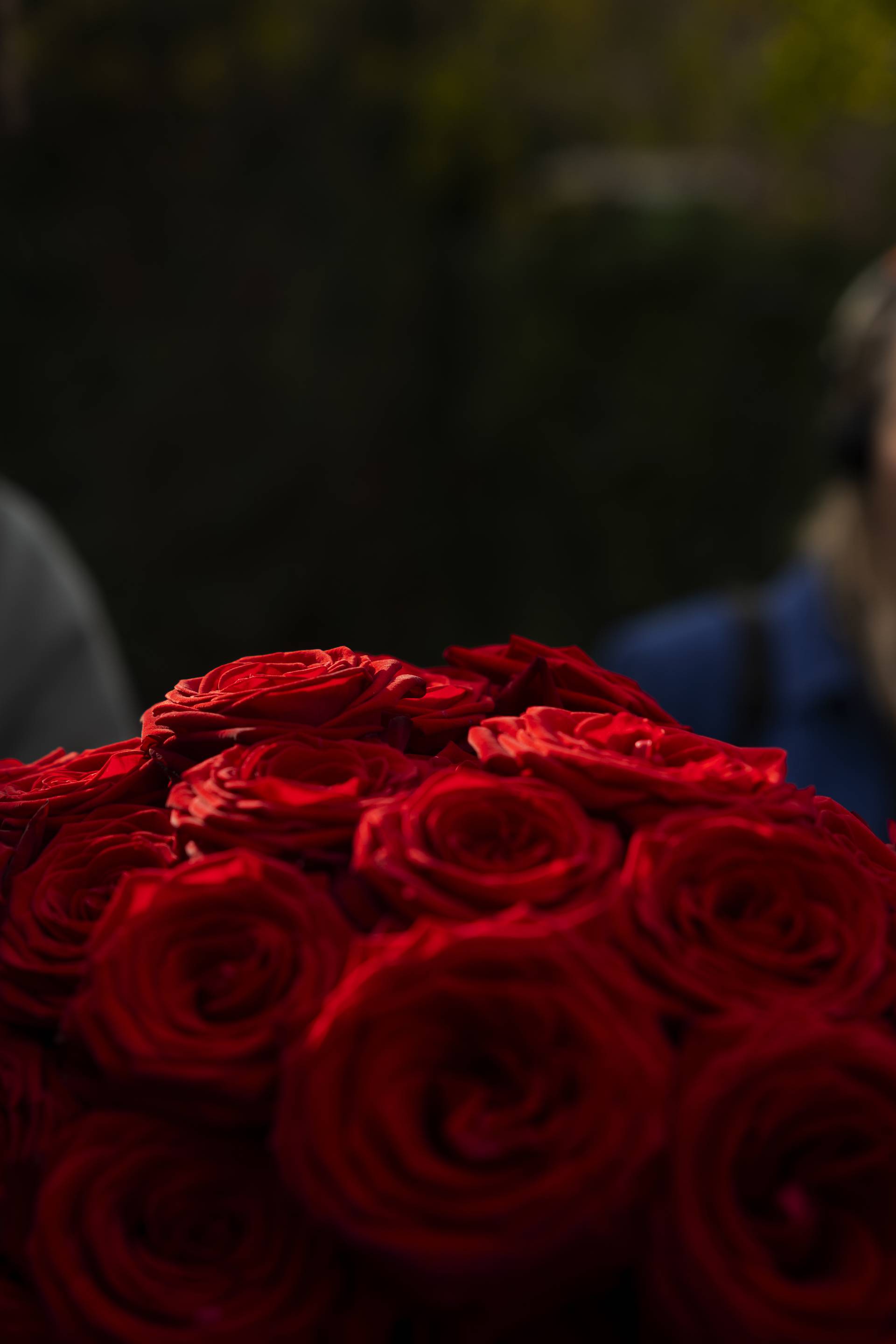 close up boeket rode rozen uit kas porta nova