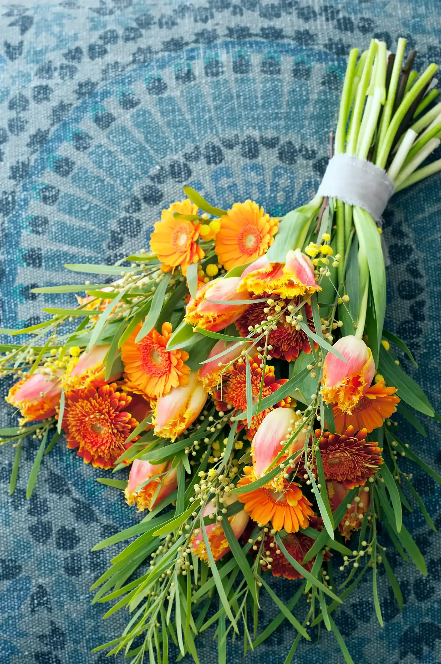 Gerbera_2015_03