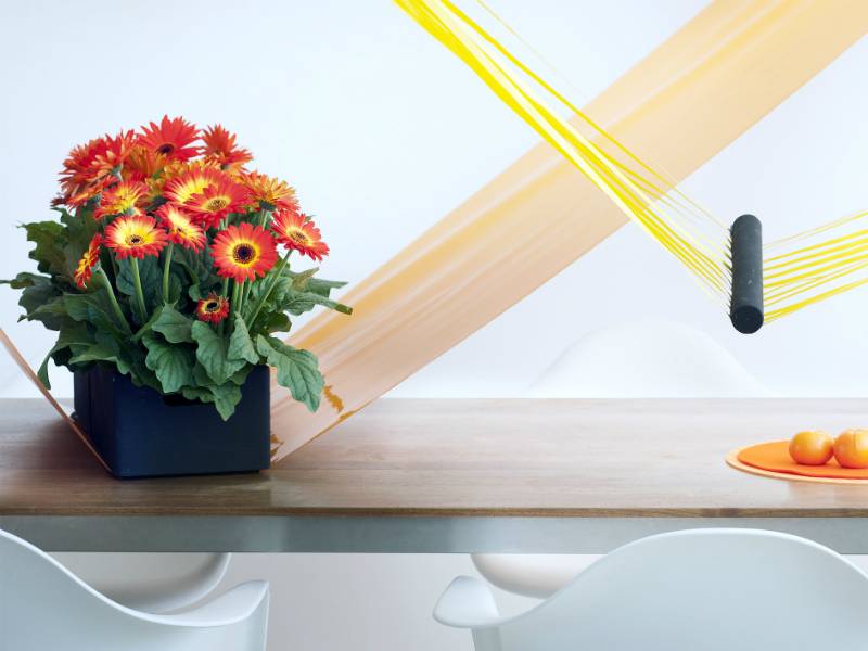 Gerbera Mooiwatplantendoen.nl - c030c882-3fa8-4a11-94ad-7e53c5596d52