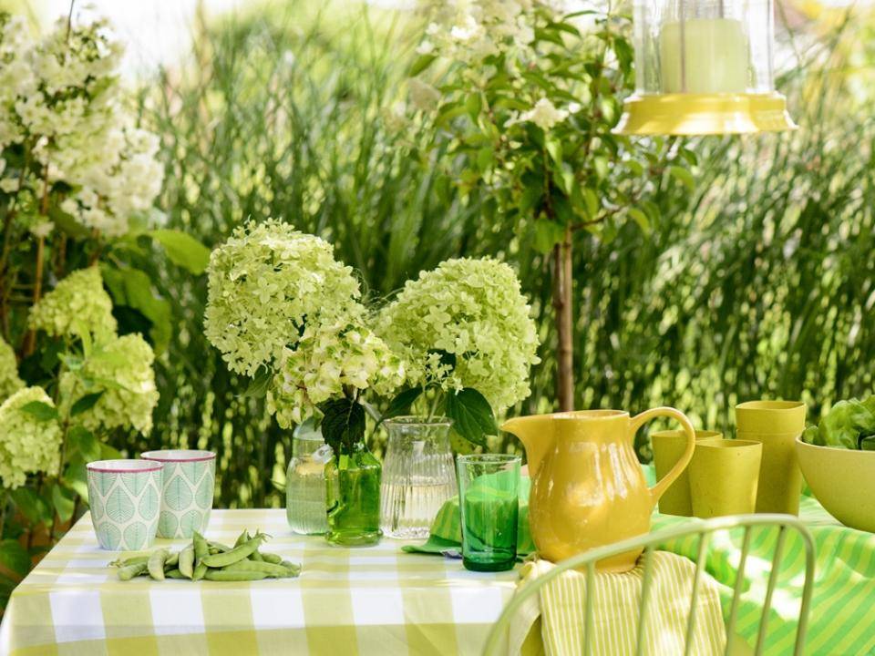 Hortensia 01 WEB (1)