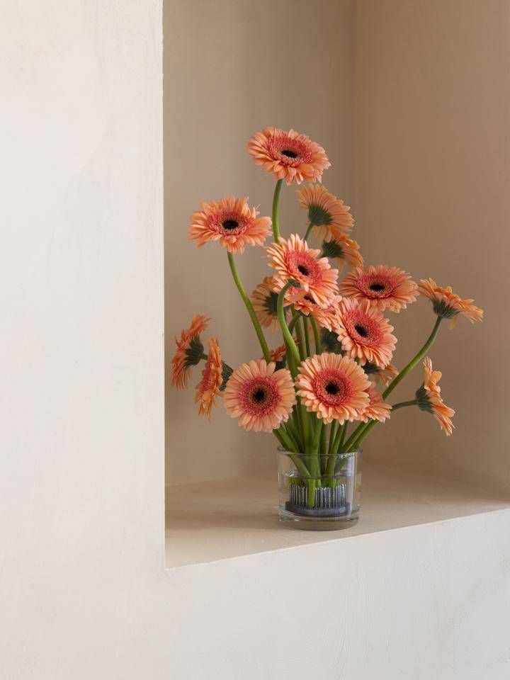 Ikebana gerbera oranje pastel