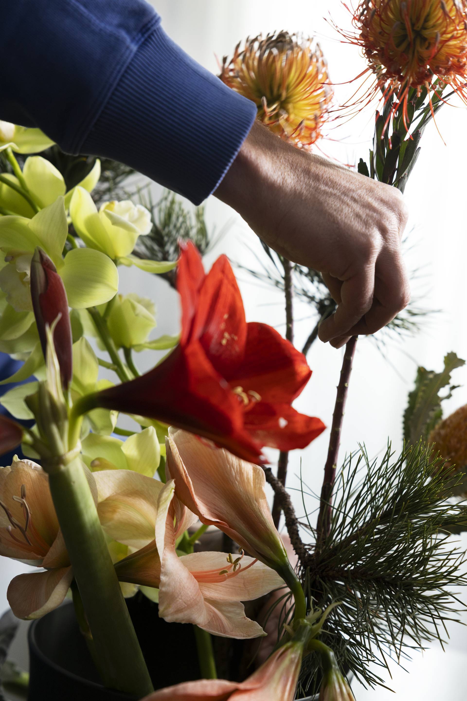 KERST_flowerfrog_3_JPG.width-1920