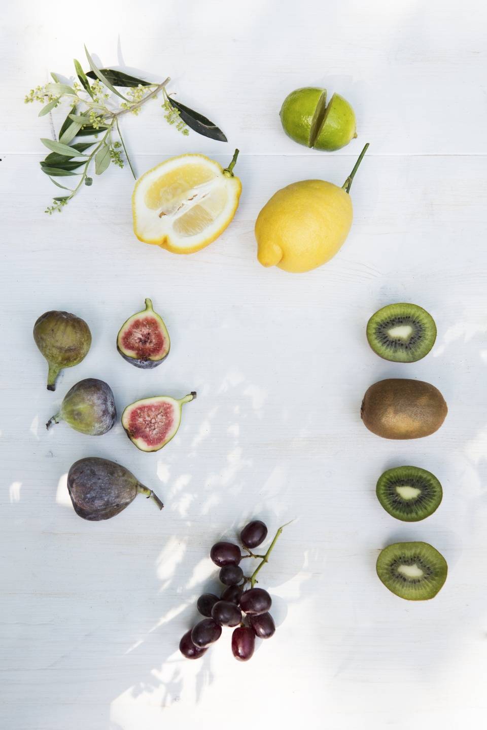 Kiwi Thejoyofplants.co.uk - c7b8850d-a0a1-4656-8096-063b6352ec96