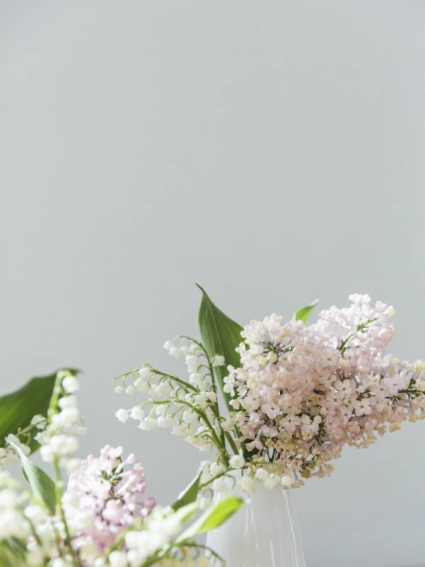 Lily of the valley Thejoyofplants.co.uk - e530eba9-fe11-450d-9670-4bed3d580446