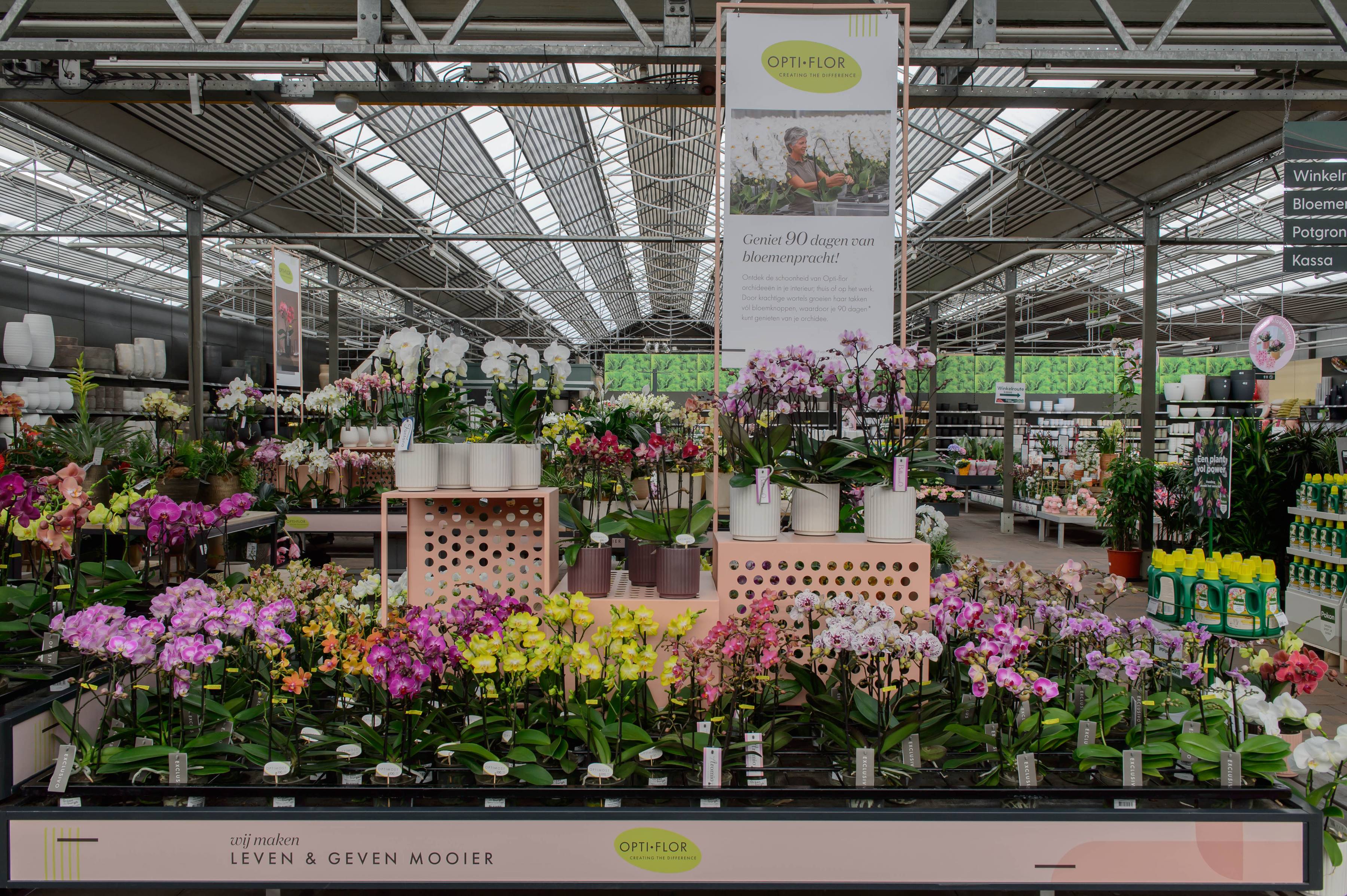 opti-flor orchideeen in verschillende kleuren
