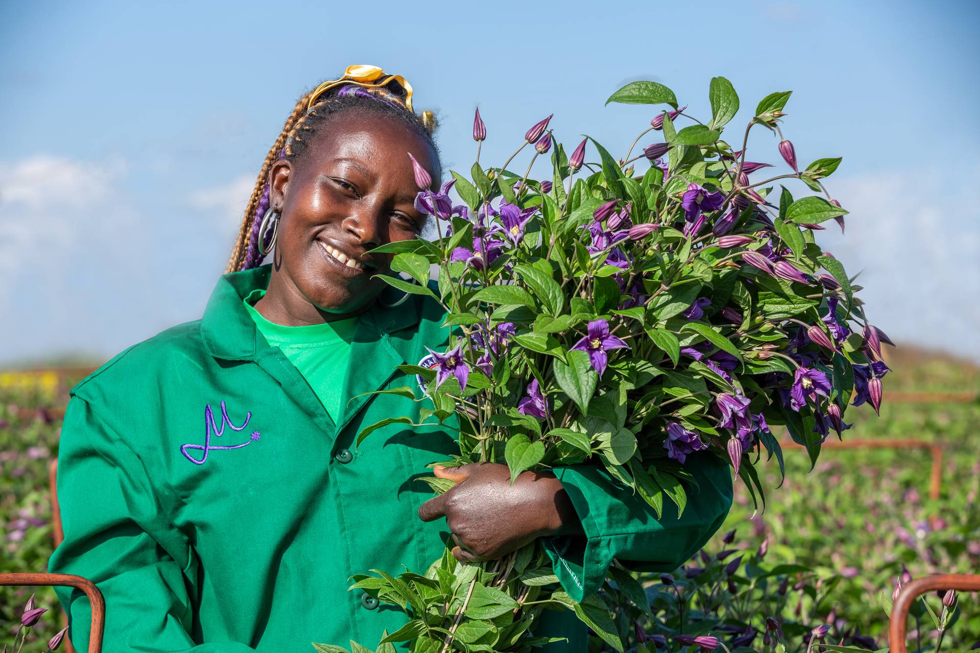 kweker in Tanzania met bos paarse Clematis snijbloemen