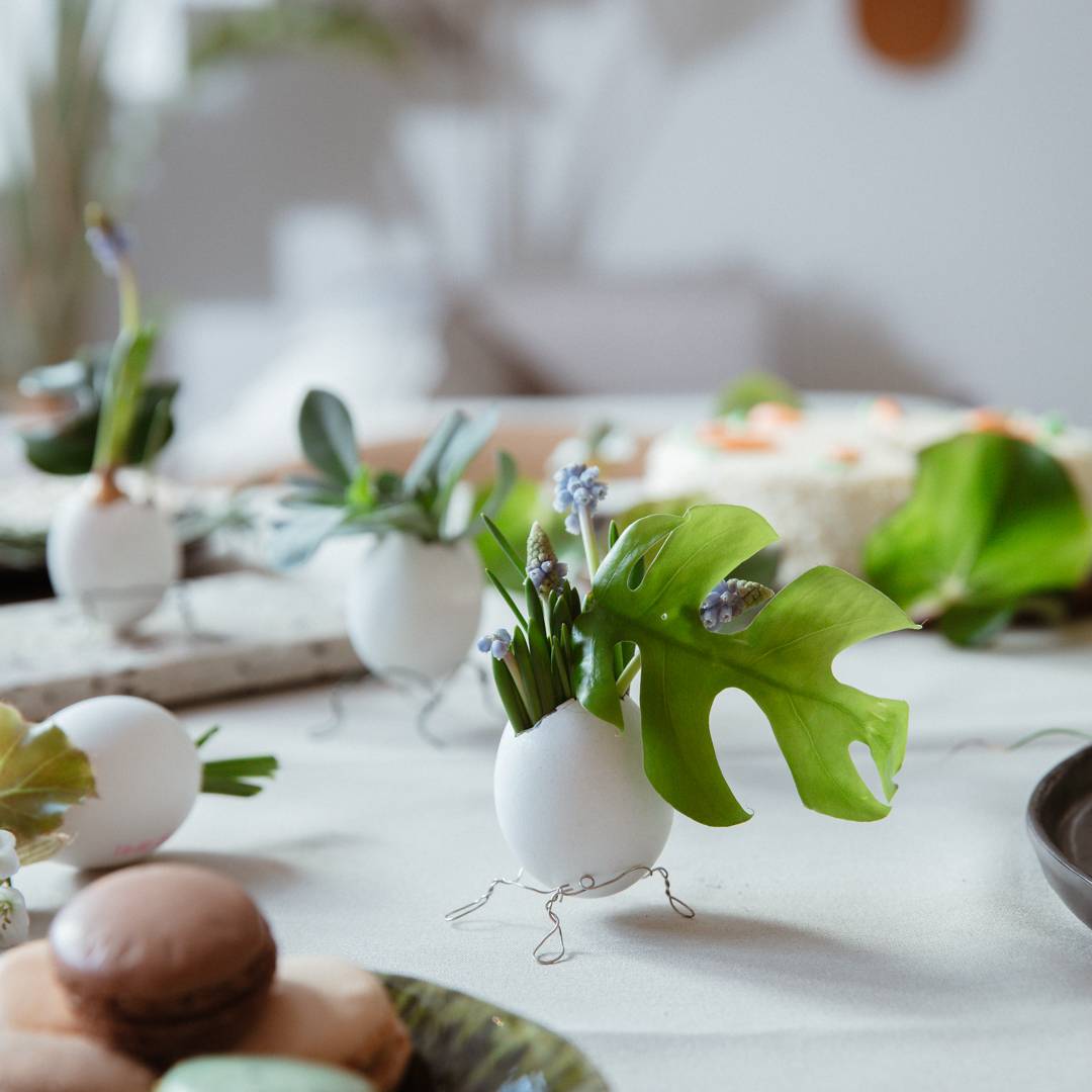 None - 026e816e-28c9-472f-9701-e671887f9e68