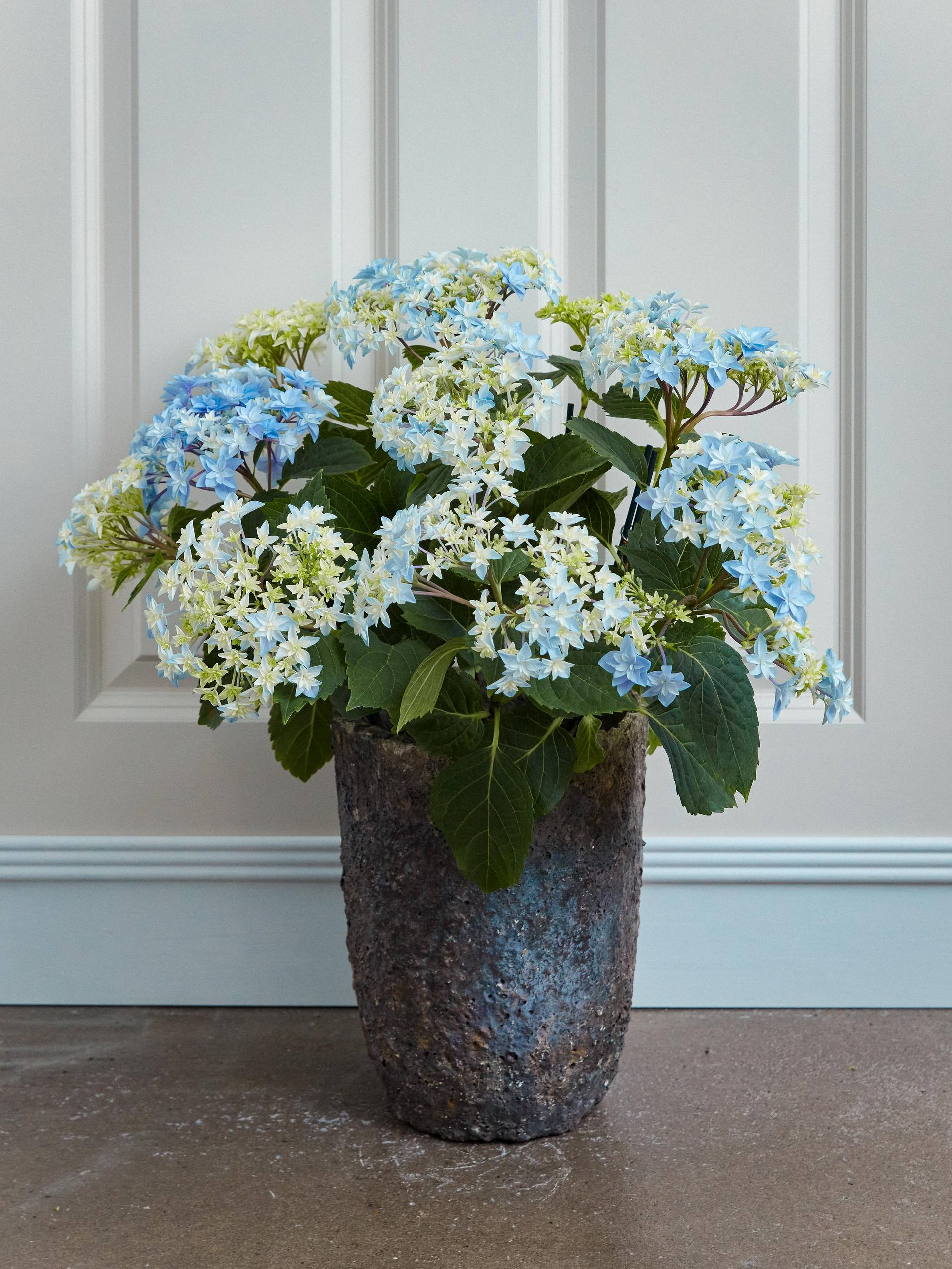 None - 031eb662-d1fd-4bdb-bf85-6cf245a76019