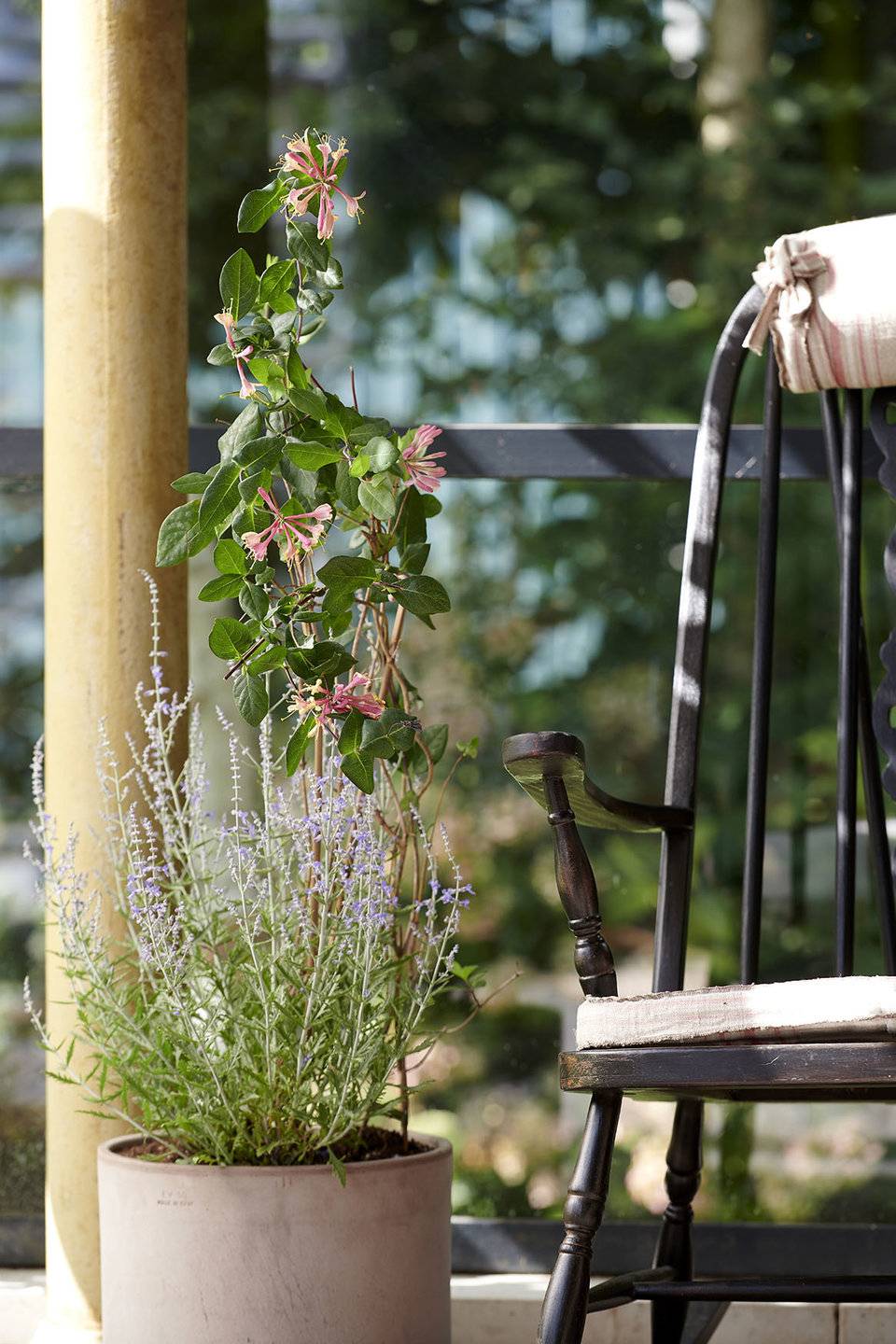 None - 0a95ce33-89e3-4f37-a444-ef8d2fc7b222