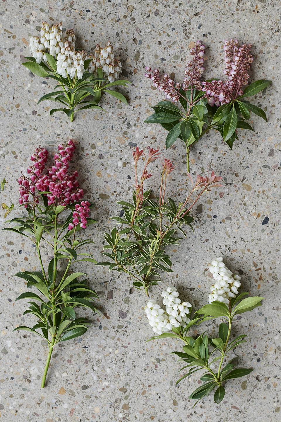 None - 0b9d6d2c-6074-47c8-b954-c7dd26da5da4