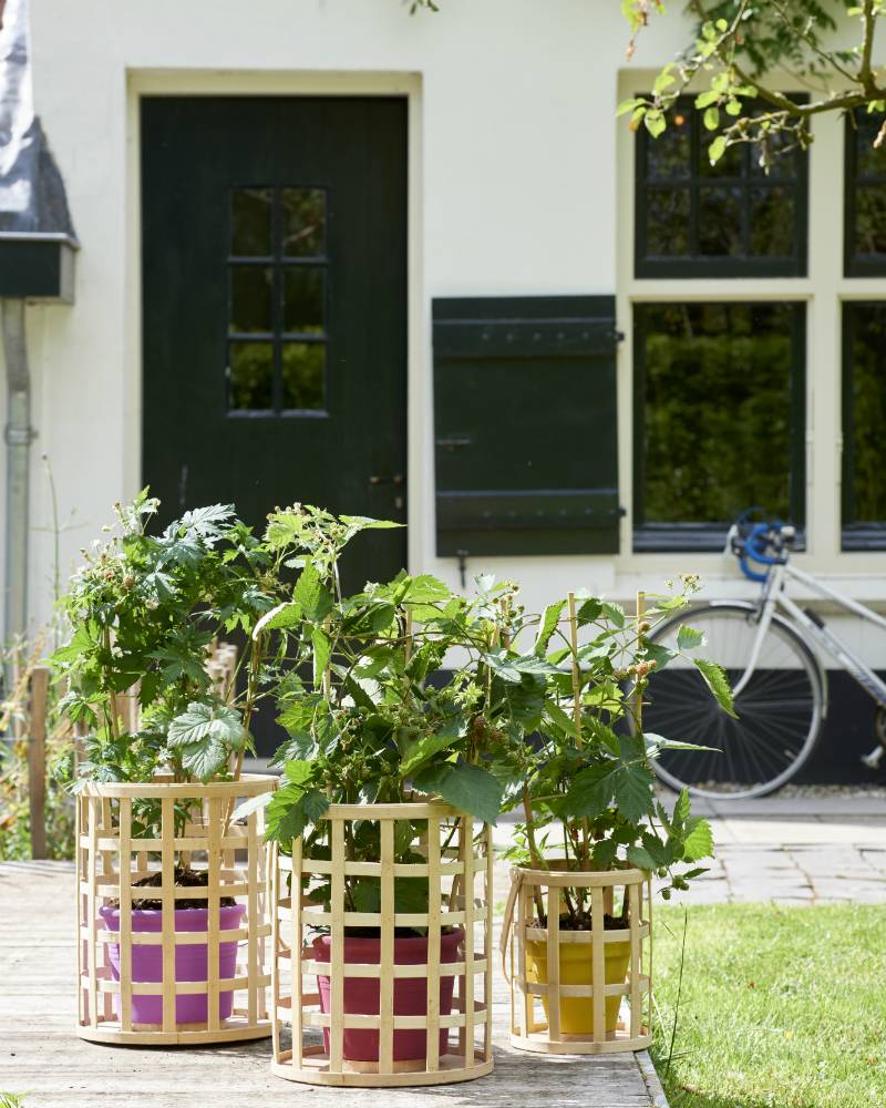 None - 12a0b92d-9d63-4c54-9014-8f3c4bf56f08