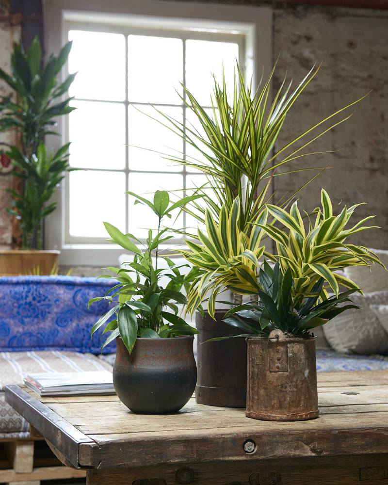 None - 164caf3d-a371-4d82-b5e5-3cd78933f503