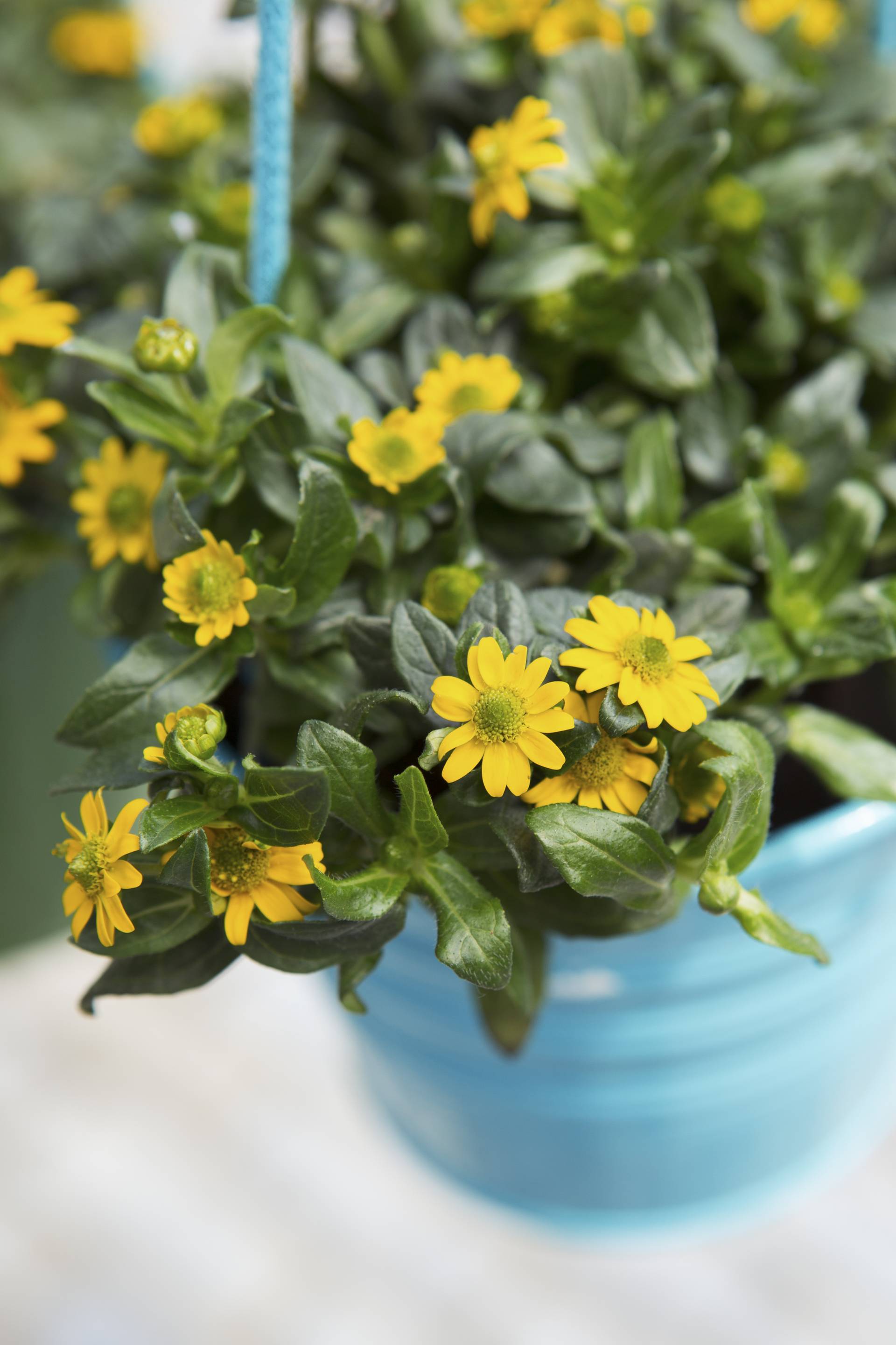 None - 1666a860-ee22-4d20-bdf8-b304eb326d34