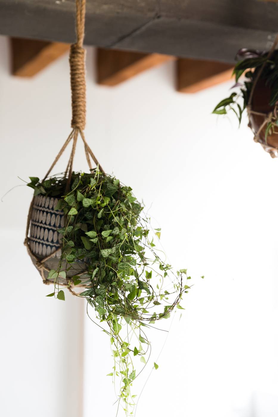 None - 1eece7ee-1799-43ac-a8df-c140b95f0507