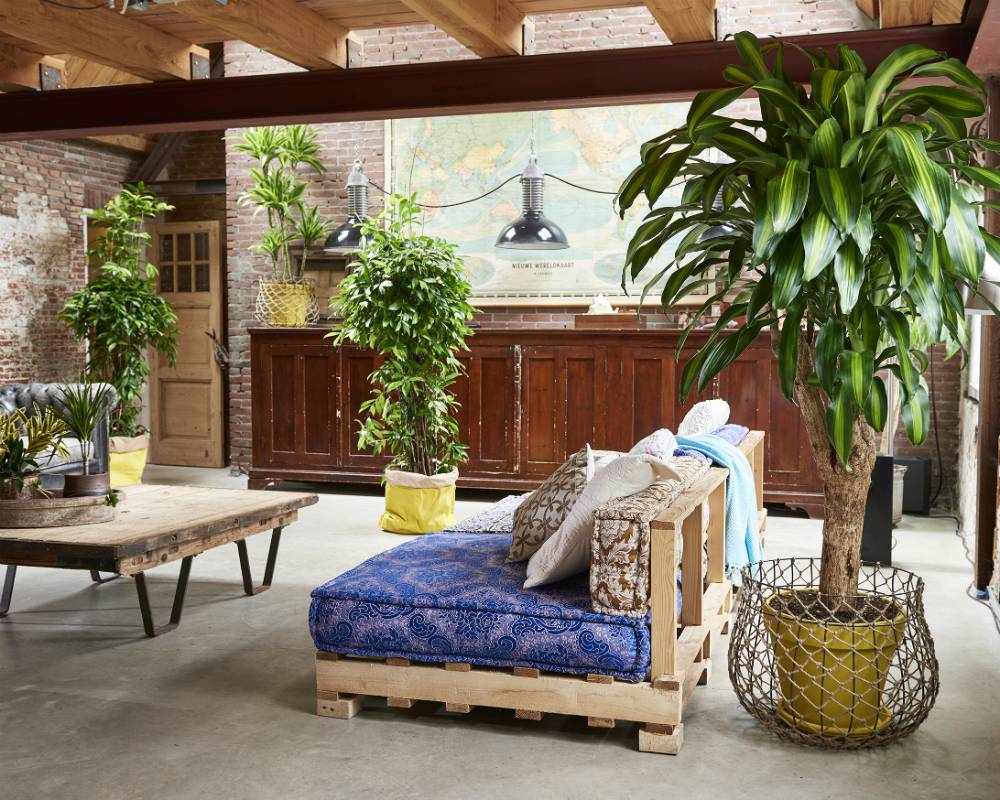 None - 224153e0-e946-4890-ad24-f5ff82702258