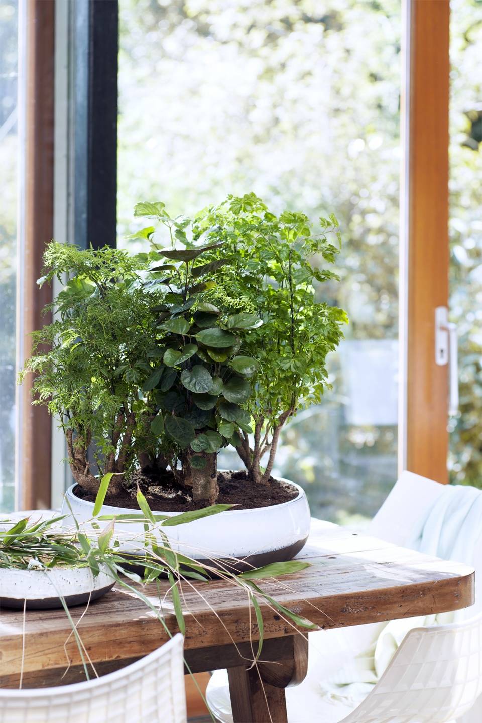 None - 2b359874-56cb-4729-966c-06235c8b7d58