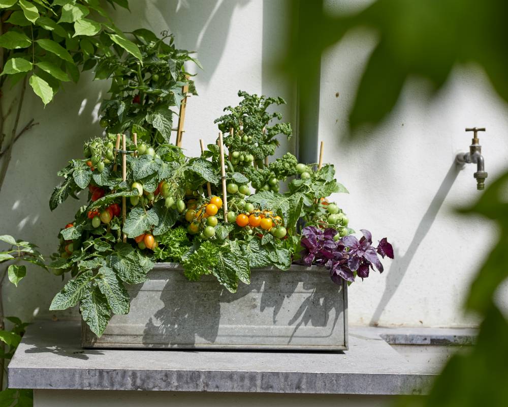 None - 2ddd906f-fb49-4e2b-ac59-726d78f2cf48