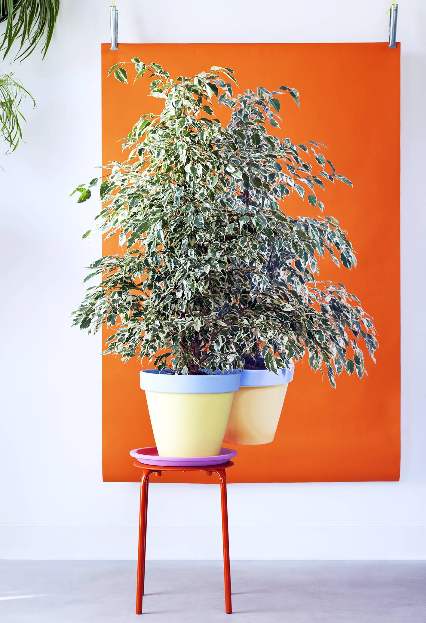 None - 353d5708-9b94-4a10-9fa4-1eab3746fbc9