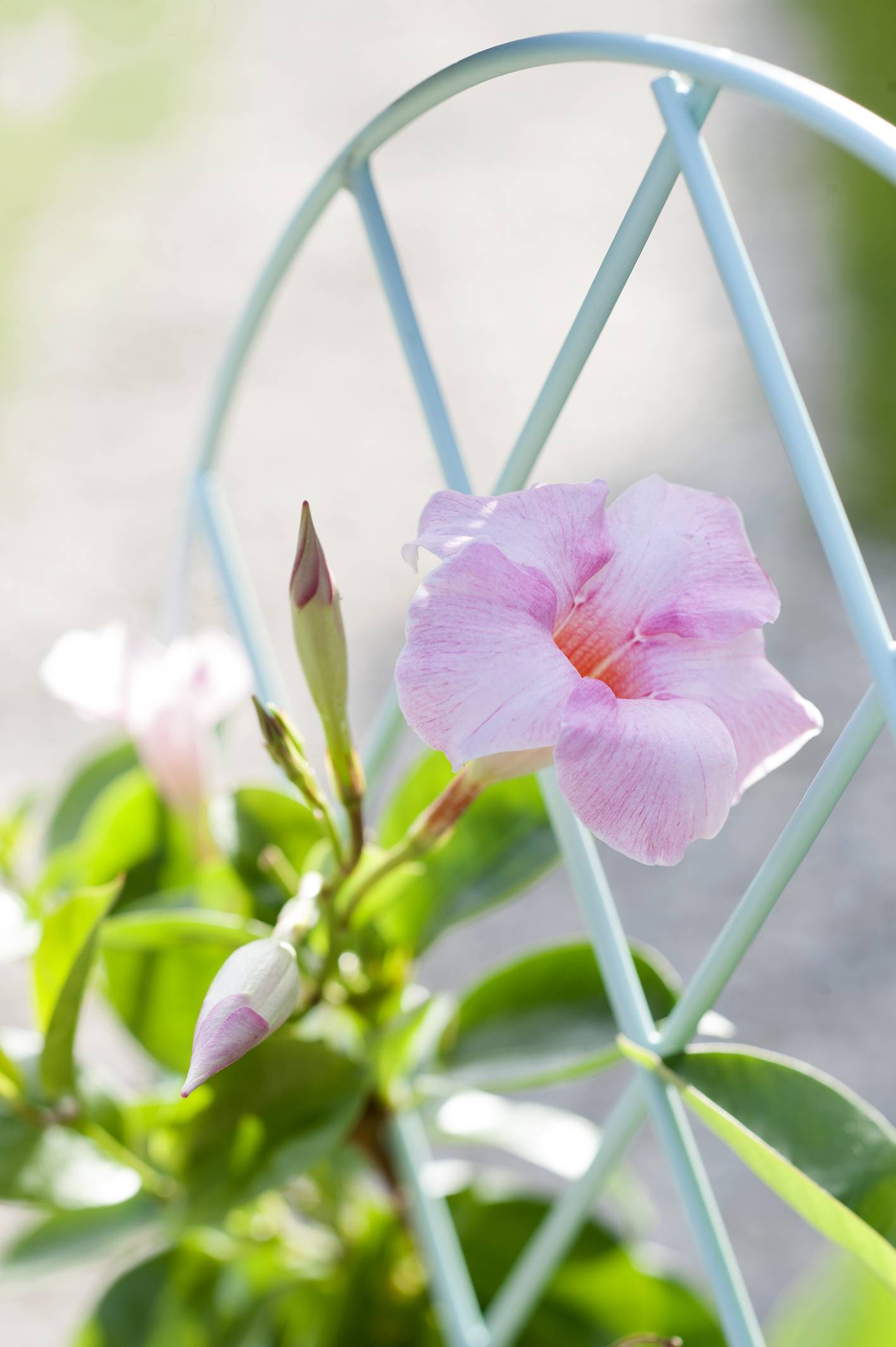 None - 372e658a-d731-47ba-bd37-031458e2551f