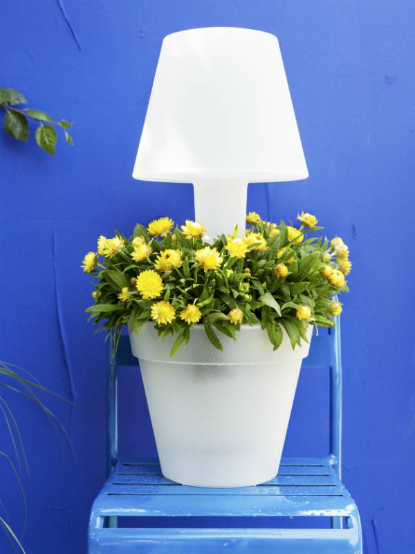 None - 39fc0d6c-02d1-4e8d-817d-abd2683af828