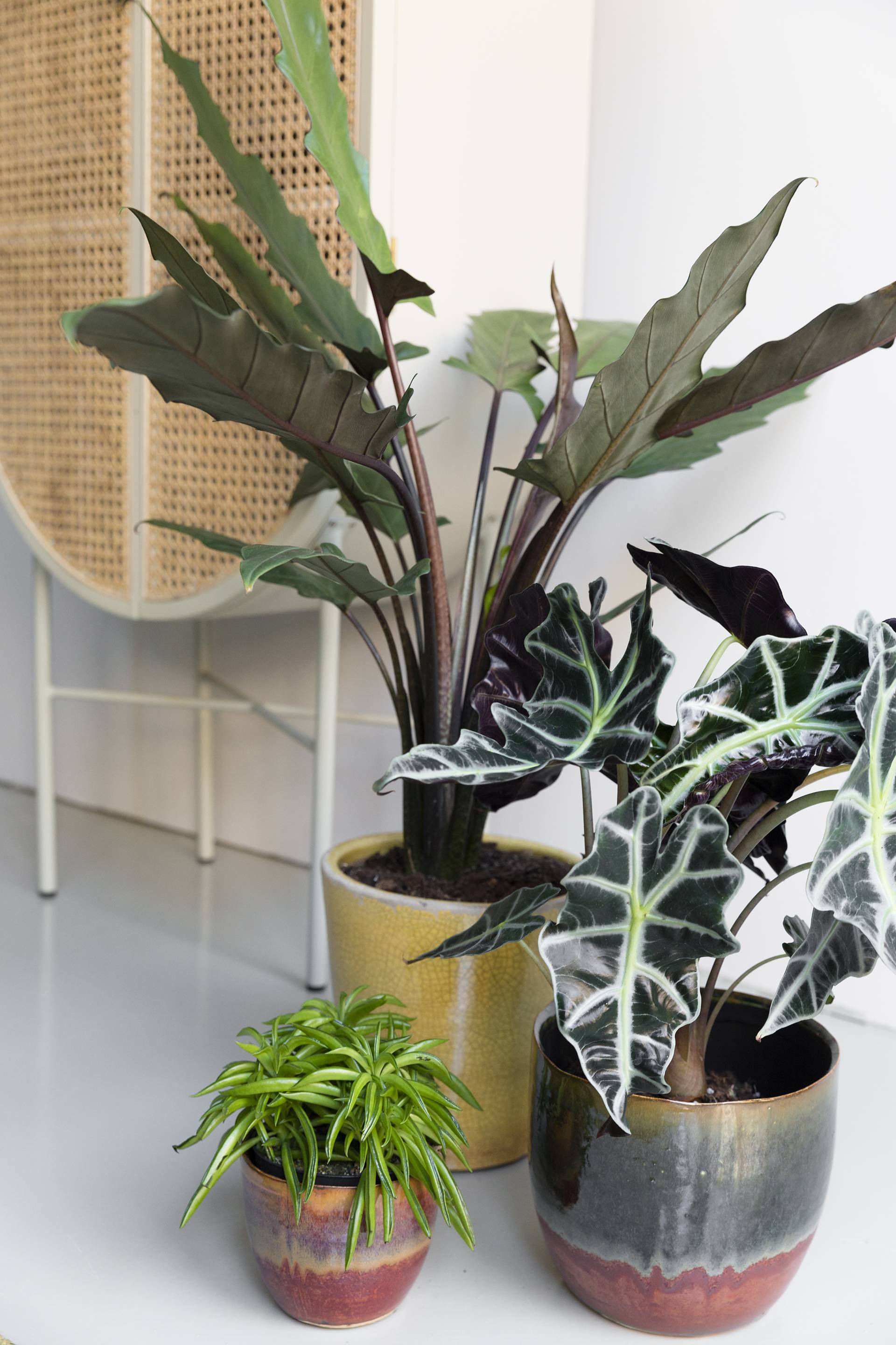 None - 42ab90dc-1c07-4361-a67f-cc9517e1d1a0