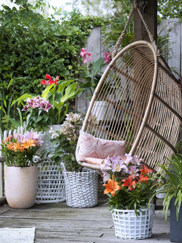 None - 439e66ca-a69a-45cc-a61b-563cfea2bdca