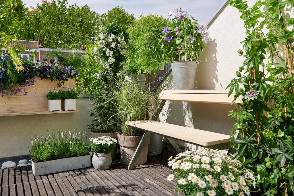 None - 448cbe61-bb88-43ca-acba-96eeedc69bfb