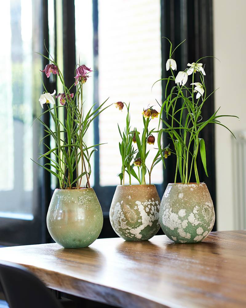 None - 45e2e474-72ec-48ba-affe-3926a73be1c1