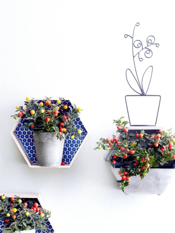 None - 4d5cbd89-f2da-48ef-a3a6-3f2691a0cfe2