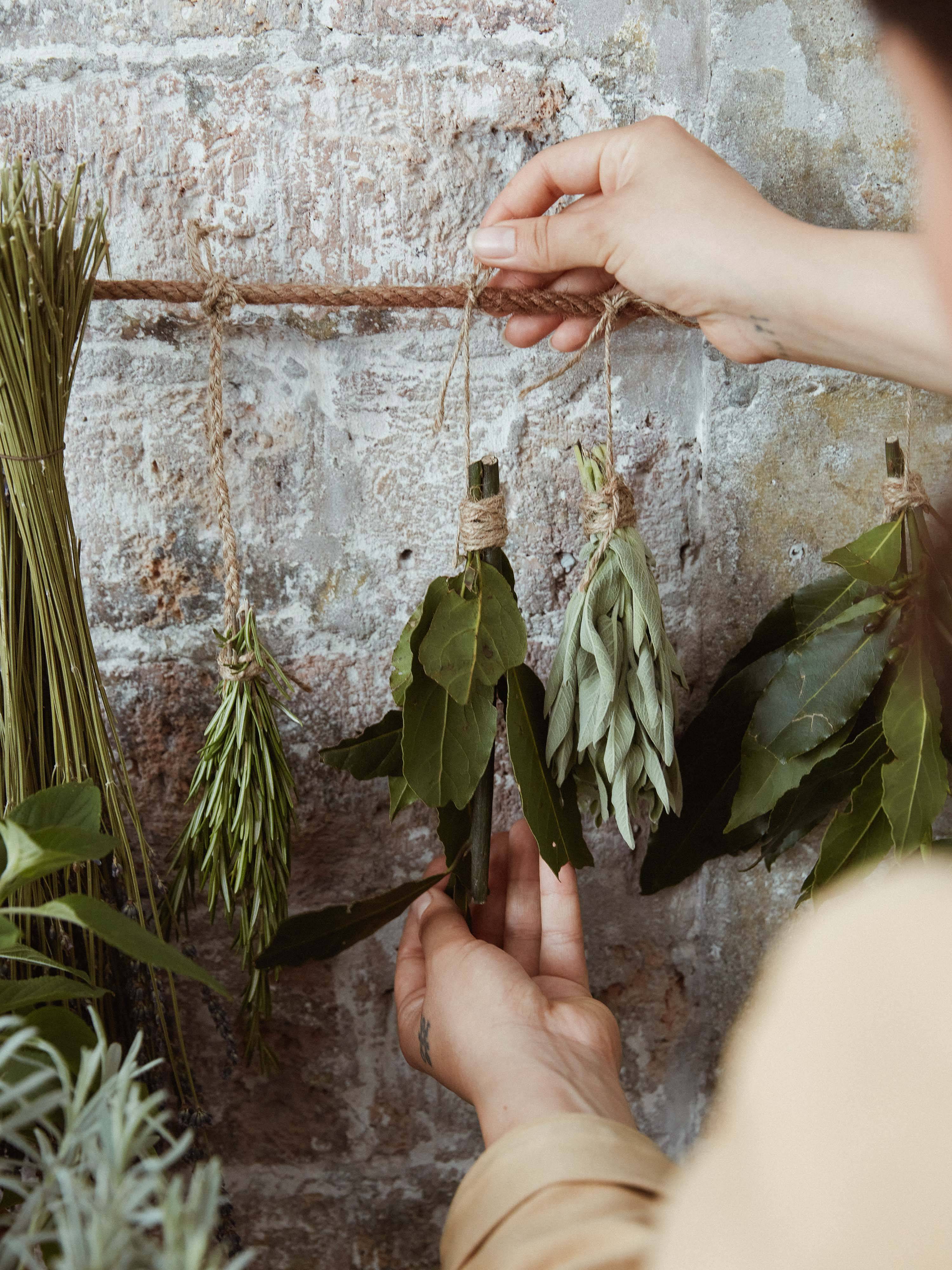 None - 4f269e2c-8f0d-4bcb-a424-900415c07203