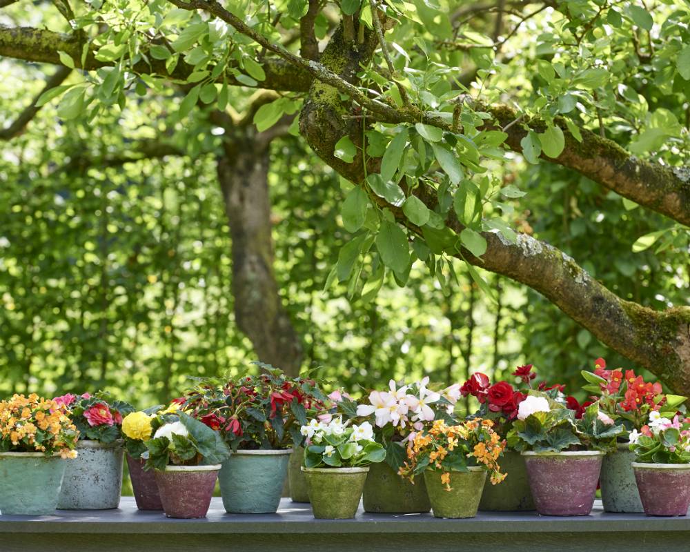 None - 50c2c104-851d-42f9-a8c0-3d2ab3439a3e