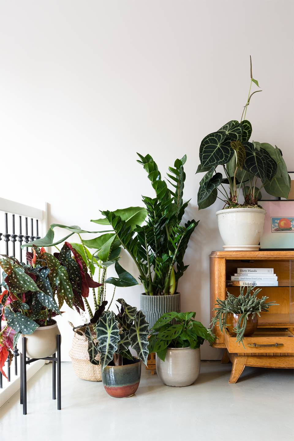 None - 510d7860-3ee6-4566-9775-fc46043f49cf