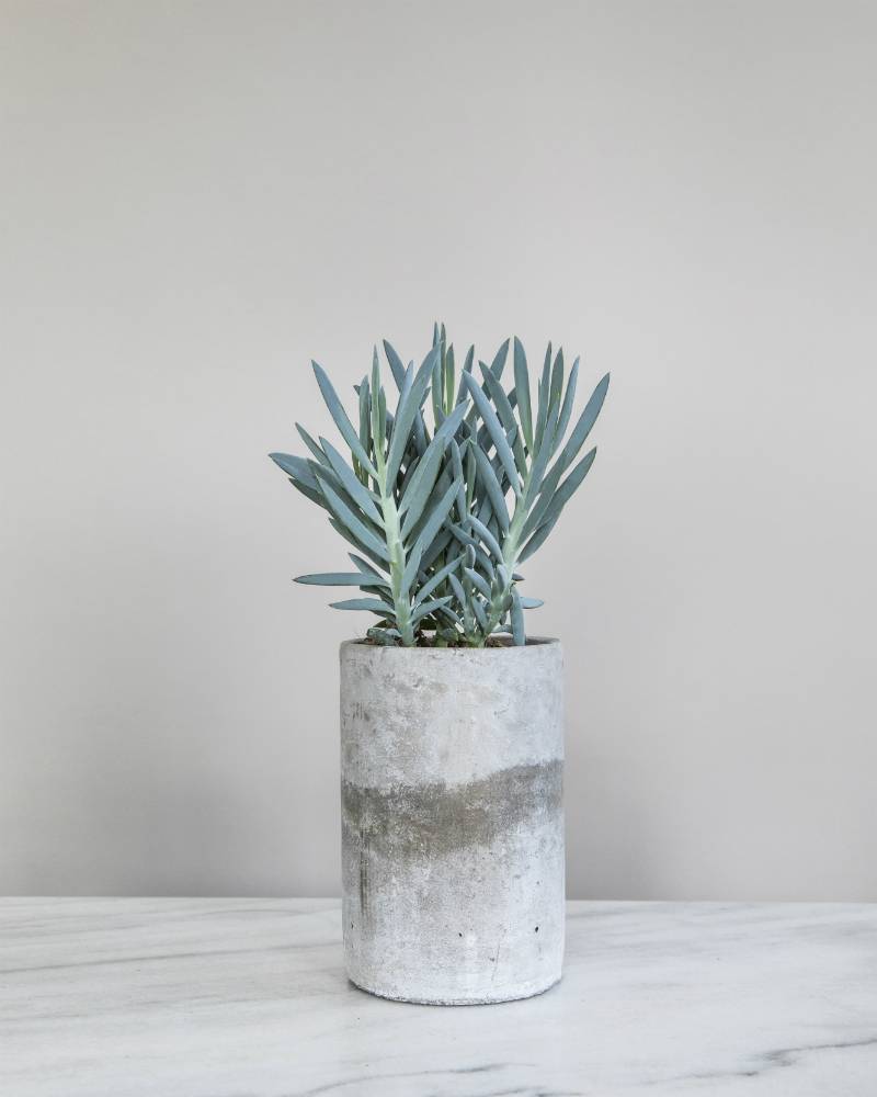 None - 525460ca-1cbf-4516-88f8-803b94ea0def