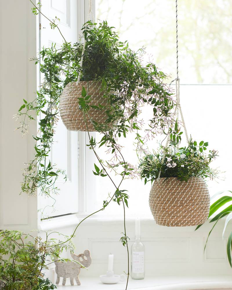 None - 56563c9f-2242-4344-84fc-b4523d1d77c5