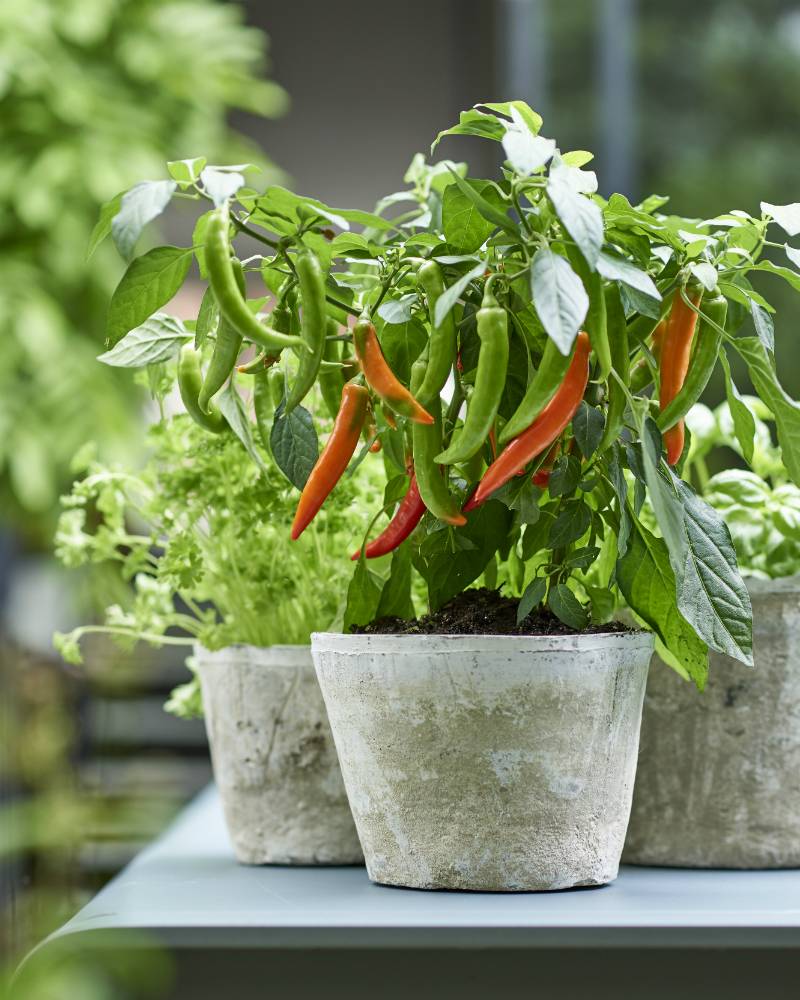 None - 57675cdc-e269-4788-afbe-aadfa2da2c9d