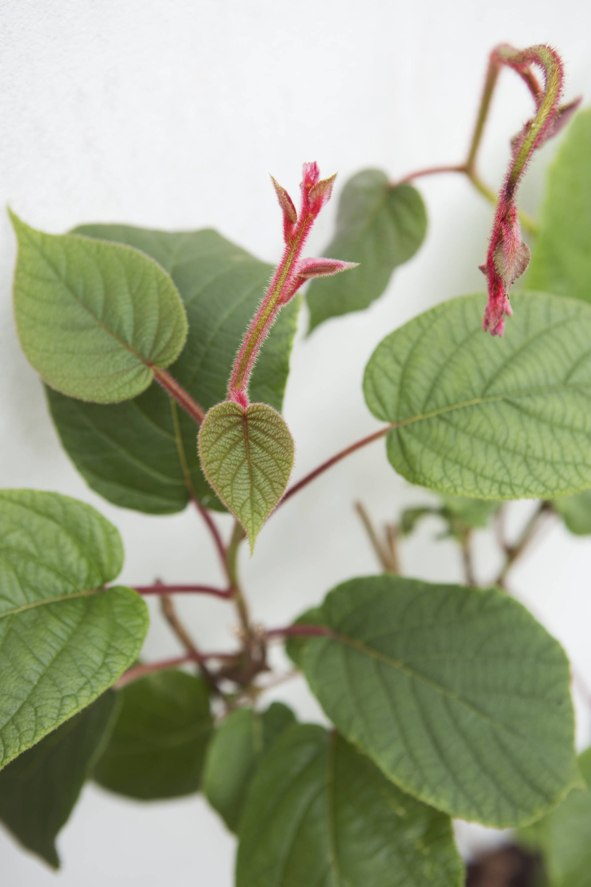 None - 5e84bb5f-efdc-4b01-99f7-b42fb9c88152