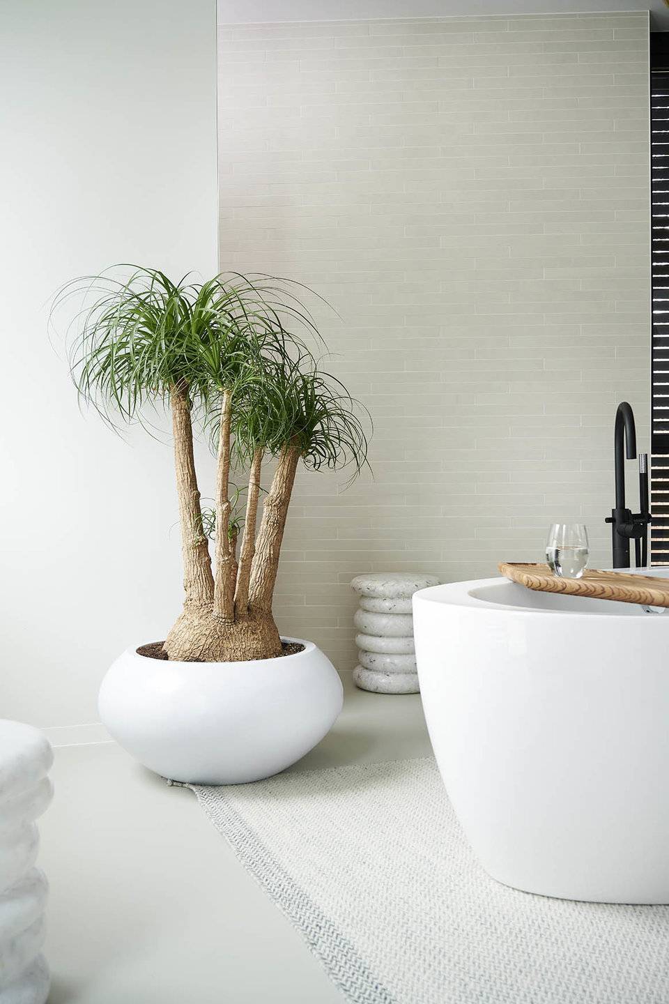 None - 5ebd657c-ecf4-404a-a5f9-6702de919c35