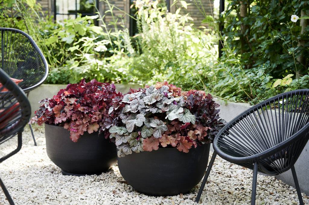 None - 5f2f9568-9064-4f05-922e-80a2091a8a3b