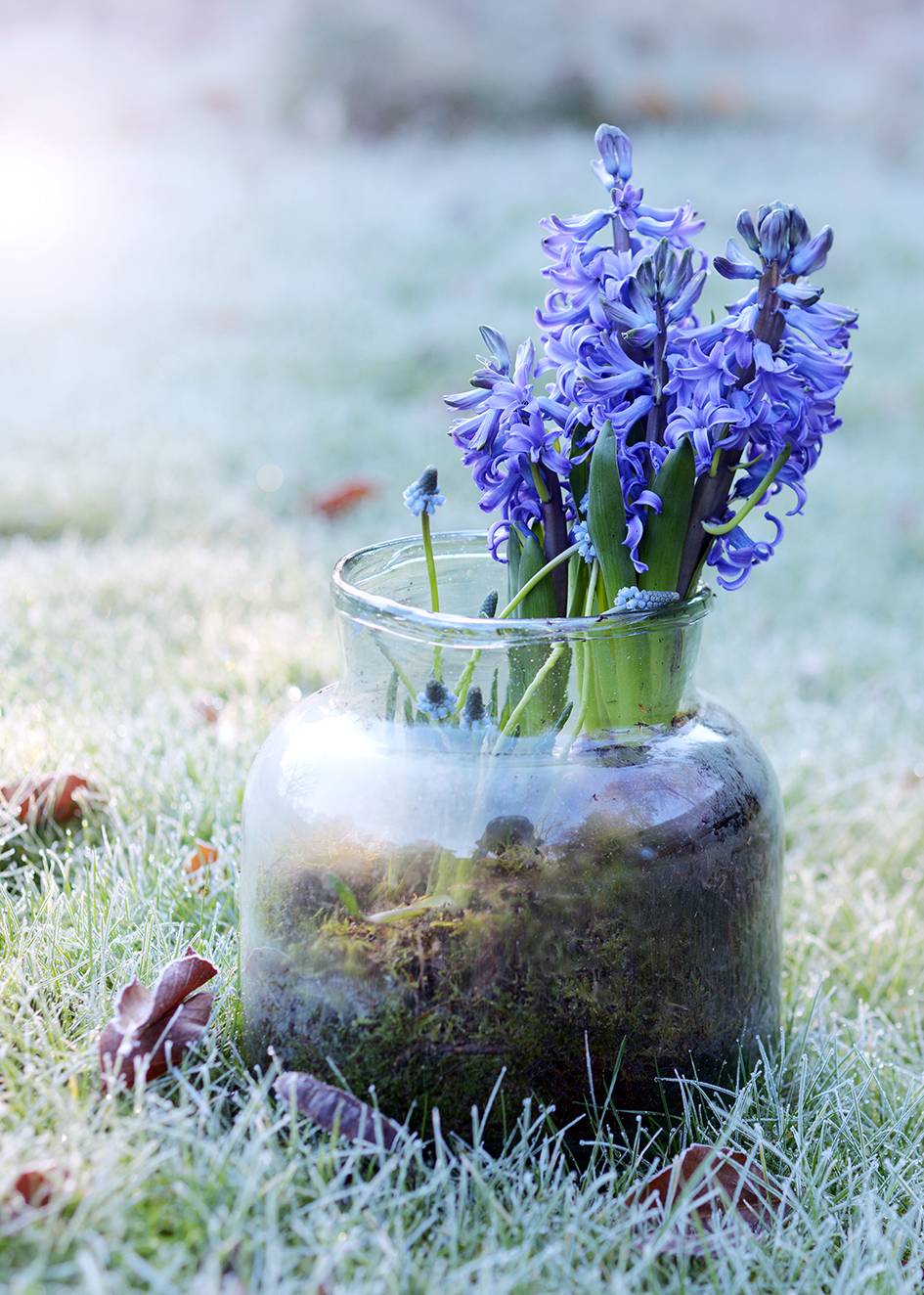 None - 656e09a9-7655-43fd-a226-9cc8a235dc99