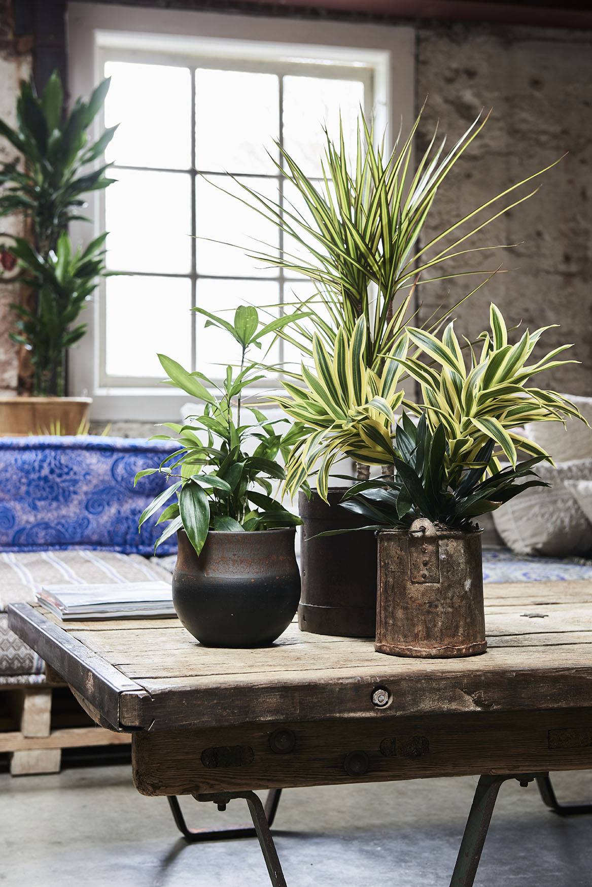 None - 659bcbf7-b895-4bc8-a61a-65afdb4ff034