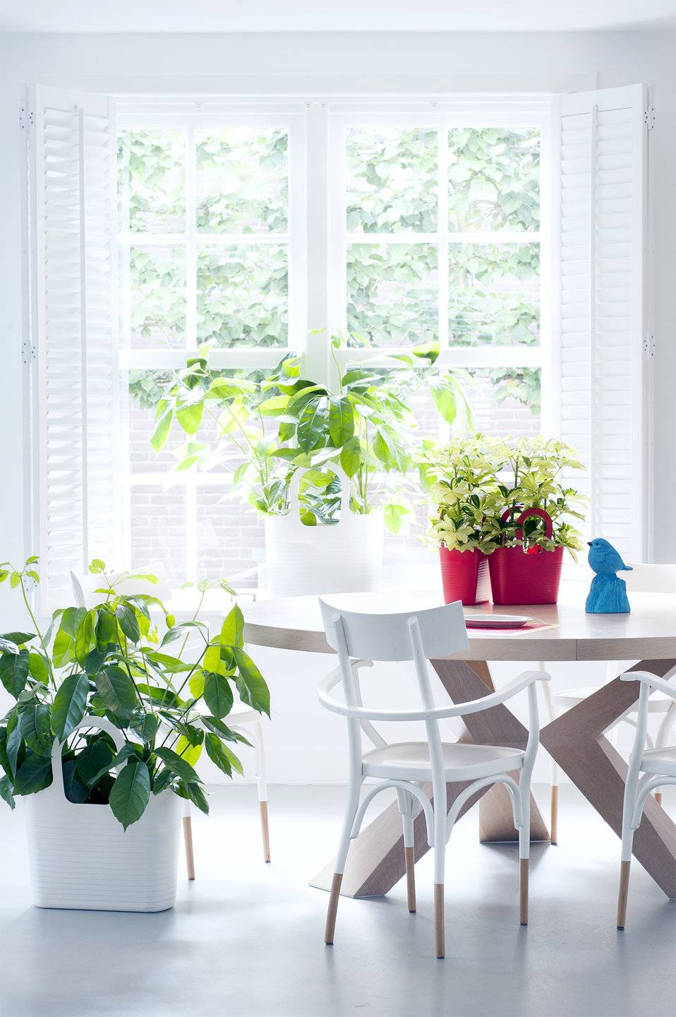 None - 67f1a5b6-326c-4c79-916a-953e202a59e8