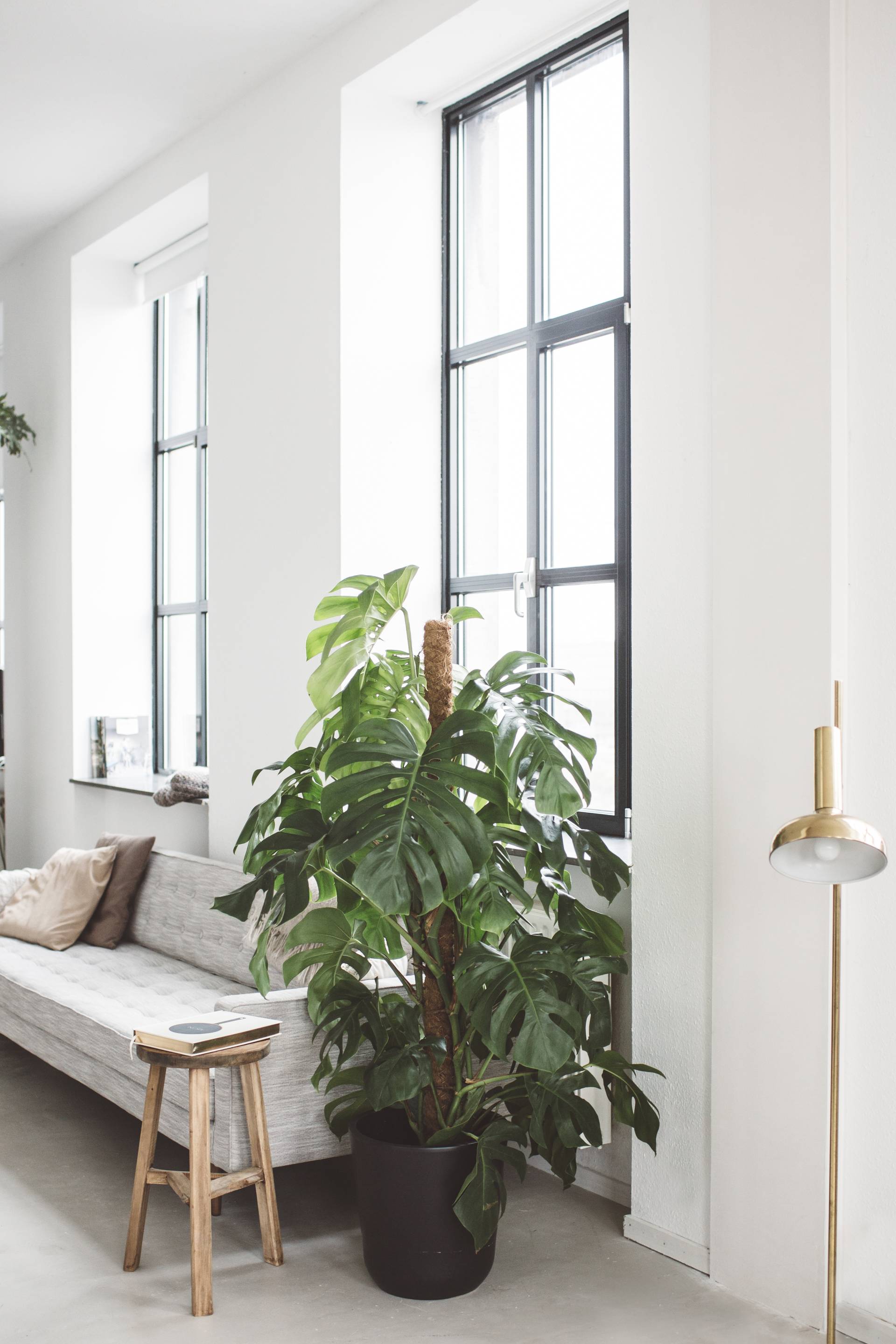 None - 696ee0aa-b7b0-498d-ae7c-4460389ea199