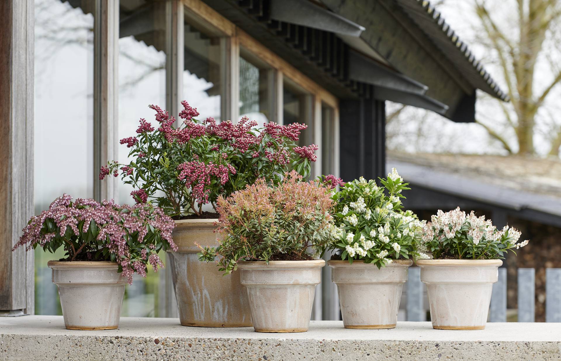 None - 6ee607d8-7402-4ea4-8fda-6b28348076f2