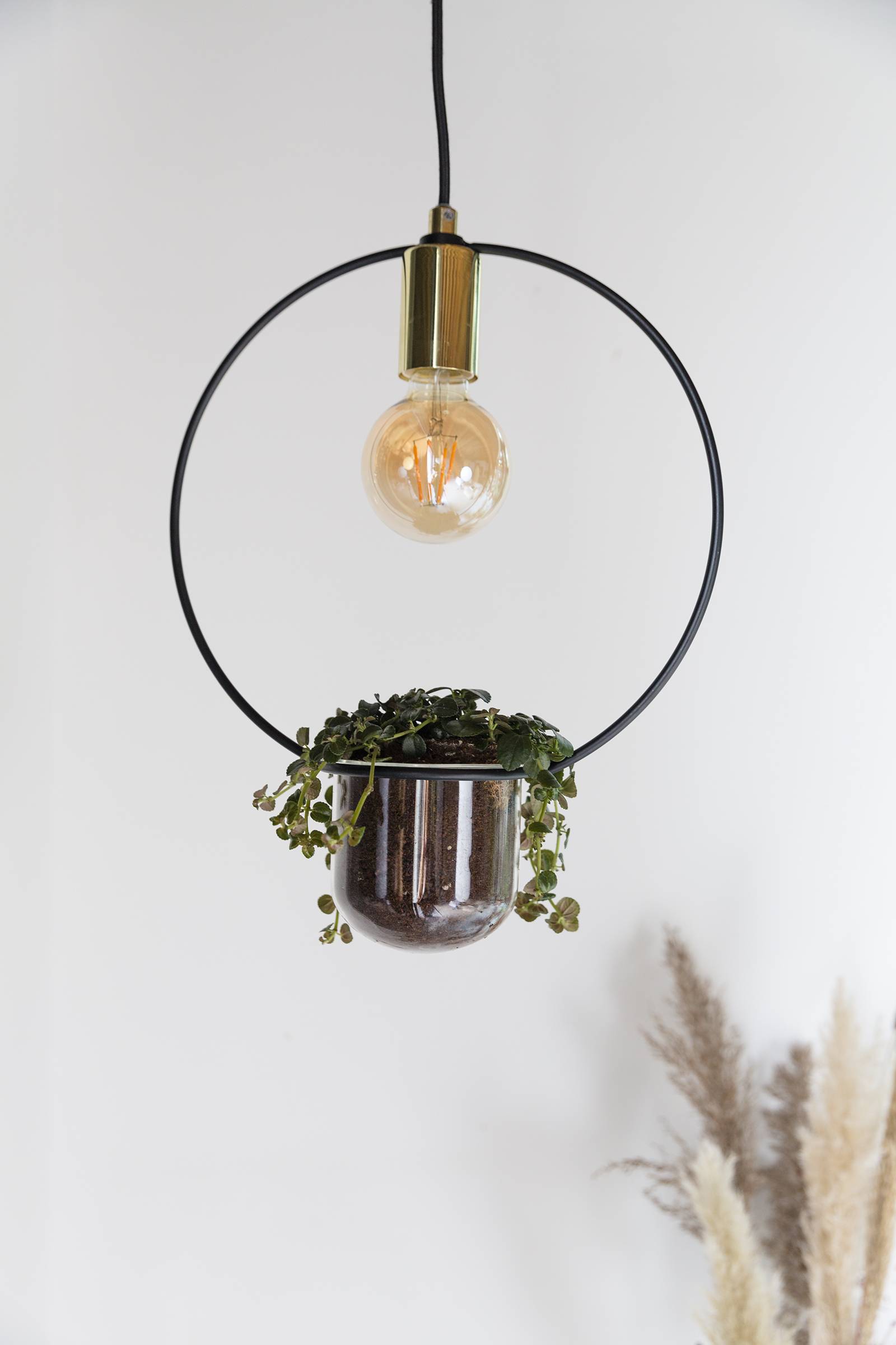 None - 7c23c5e5-a3ab-4386-9f52-ed8a75d7ed39