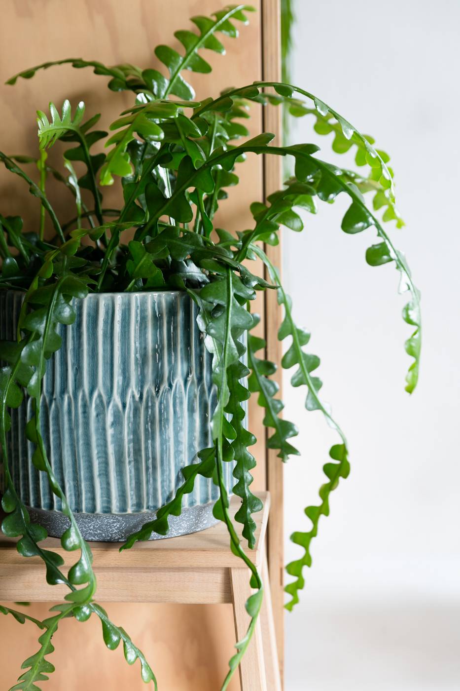 None - 800dbafe-27f3-4a17-b24e-48ff50e21511