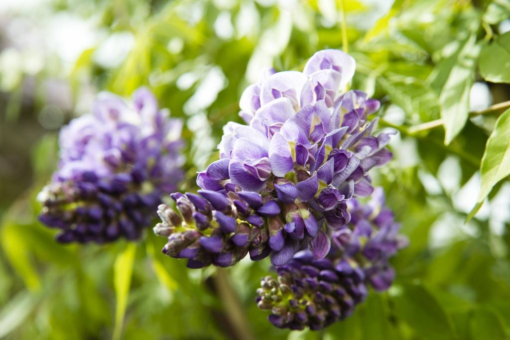 None - 82e03148-3ad8-4673-ae68-7db2f678c1de