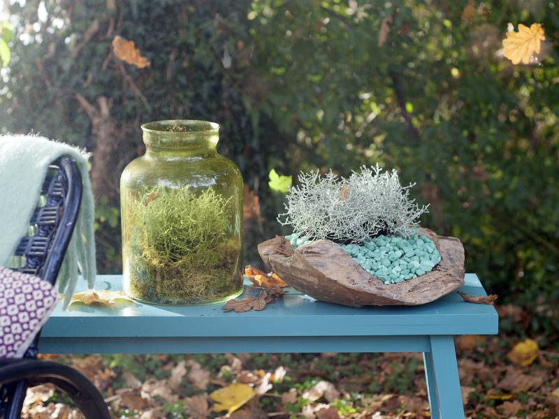 None - 8d5e3a68-72ed-46ab-9612-6ce7432524bb